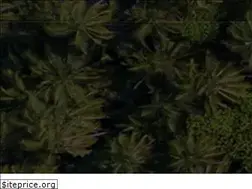 Sites similar to local.mv