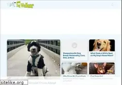 Sites similar to localdogwalker.com