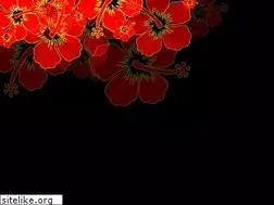 Sites similar to location-particulier-martinique.com