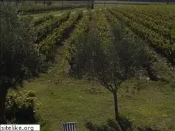Sites similar to locations-richerenches.com
