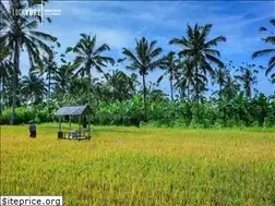 Sites similar to locavore.co.id