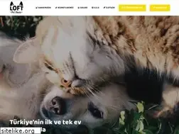 Sites similar to loftpethouse.com