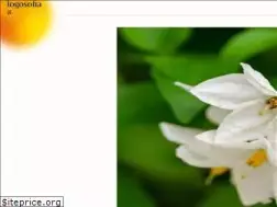 Sites similar to logosofia.org.br