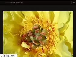 Sites similar to lohrman.com