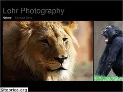 Sites similar to lohrphotography.com