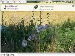 Sites similar to lokalsidorna.se