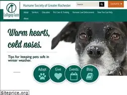 Sites similar to lollypop.org