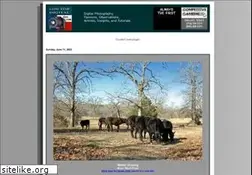 Sites similar to lonestardigital.com
