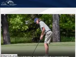 Sites similar to longwoodlancers.com