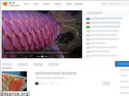 Sites similar to longzu.com
