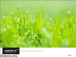Sites similar to looking4.gr
