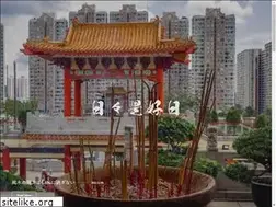 Sites similar to lookonbright.site