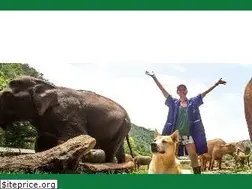Sites similar to loopabroad.com