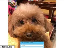 Sites similar to loover.com.tw