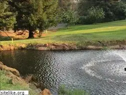 Sites similar to lopgolf.com