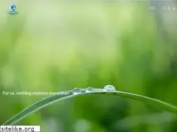 Sites similar to lorama.com
