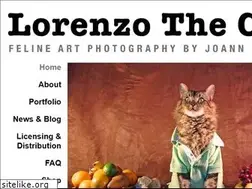 Sites similar to lorenzothecat.com