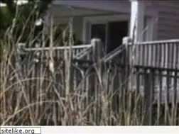 Sites similar to lorettarealty.com