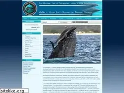 Sites similar to lorimazzuca.com