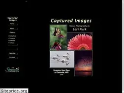 Sites similar to loripurk.com