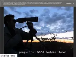 Sites similar to loslobostambienlloran.blogspot.com