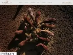 Sites similar to lostvalleyranch.com