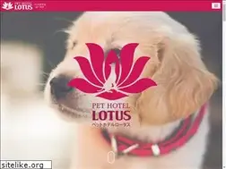 Sites similar to lotus-dog.com