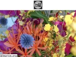 Sites similar to lotus212.com