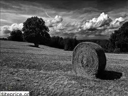 Sites similar to louisbourdon.com
