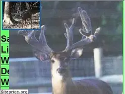 Sites similar to louisianatrophywhitetail.com
