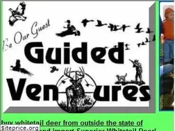 Sites similar to louisianawhitetail.com