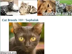 Sites similar to lovable-cats.com
