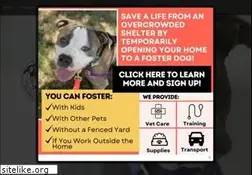 Sites similar to love-a-bull.org