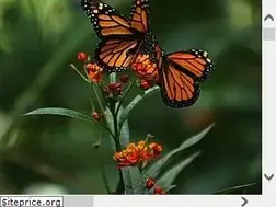 Sites similar to lovelytinythings.com