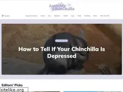 Sites similar to lovemychinchilla.com