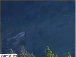Sites similar to lovetheoutdoors.com