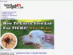Sites similar to lovingyourlab.com