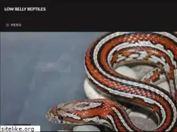 Sites similar to lowbellyreptiles.com