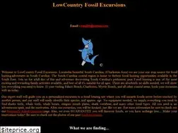 Sites similar to lowcountryfossilexcursions.com