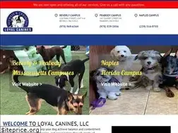 Sites similar to loyalcanines.com