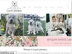Sites similar to loyallabradors.com