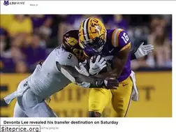 Sites similar to lsutigerswire.usatoday.com