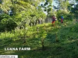 Sites similar to luanafarm.com
