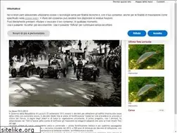 Sites similar to luccamuraurbane.it