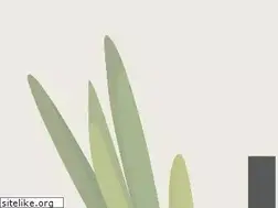 Sites similar to lucindasdayspa.com