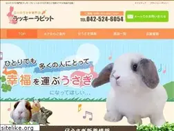 Sites similar to lucky-rabbit.jp