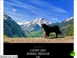 Sites similar to luckydayrescue.org