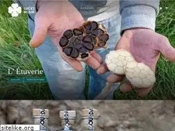 Sites similar to luckymiam.com