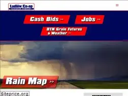 Sites similar to ludlowcoop.com