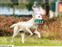 Sites similar to luenecup.de